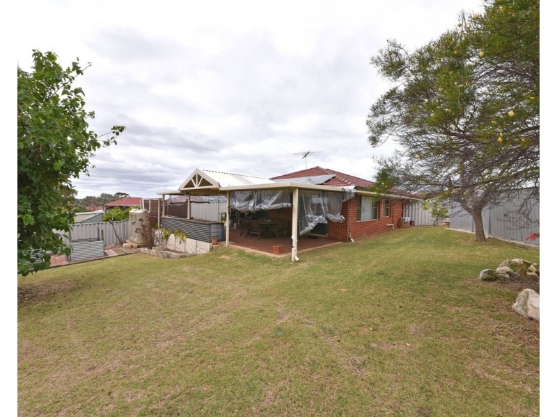 34 Attwood Place, Clarkson WA 6030