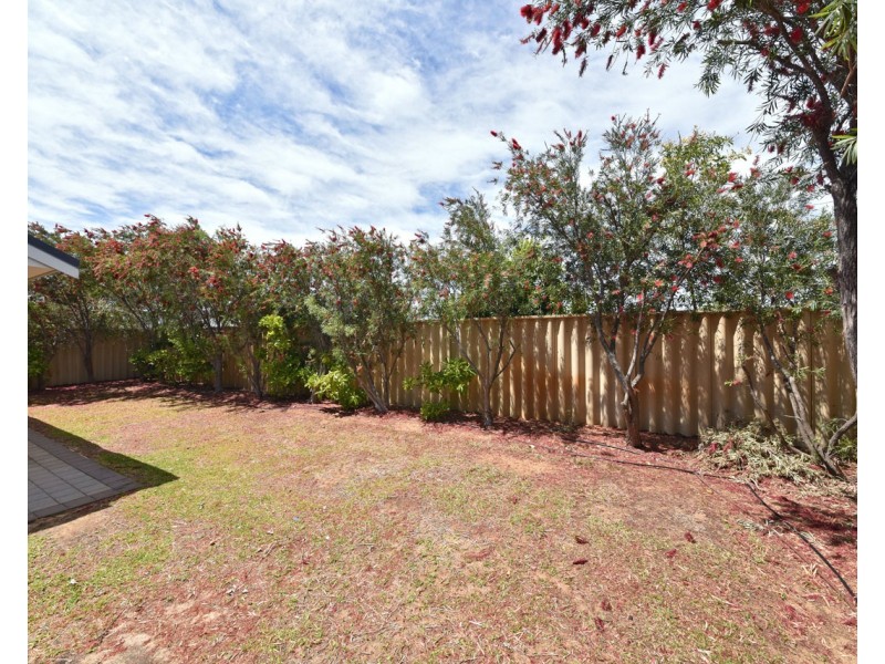 17 Clontarf Way, Butler WA 6036