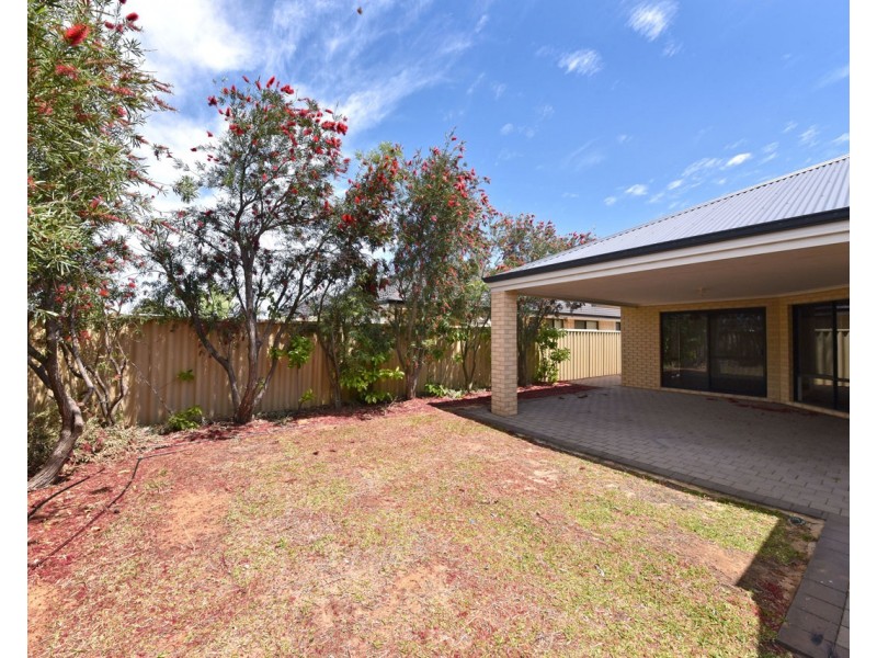 17 Clontarf Way, Butler WA 6036