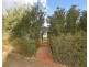 11 Tuxedo Link, Clarkson WA 6030