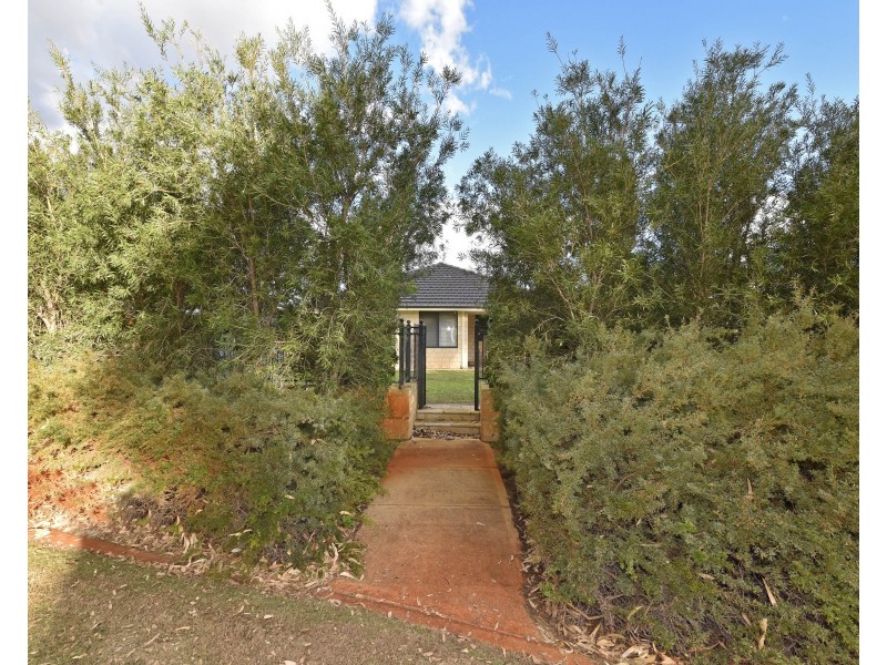 11 Tuxedo Link, Clarkson WA 6030
