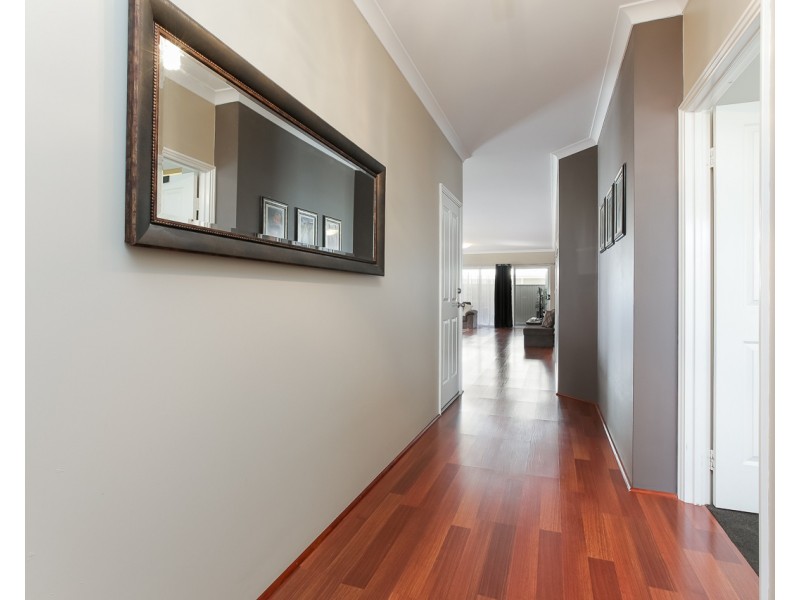 17 Quoll Mews, Alkimos WA 6038