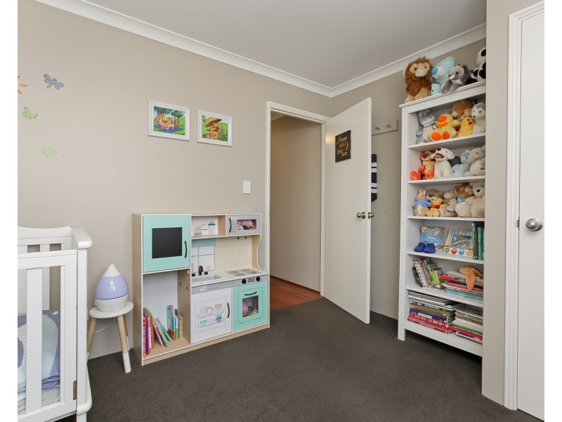 17 Quoll Mews, Alkimos WA 6038