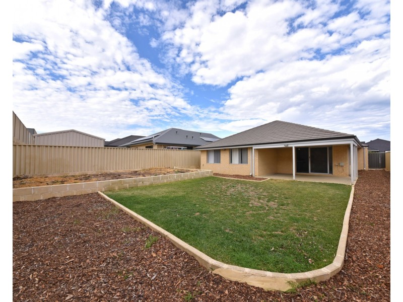 18 Oakbank Crescent, Butler WA 6036