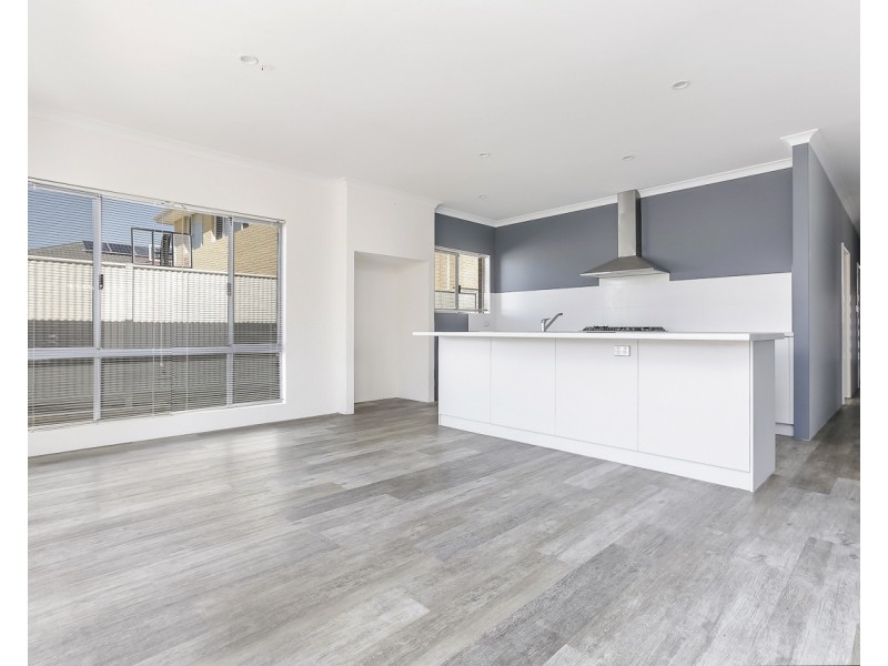 41 Malleefowl Way, Alkimos WA 6038