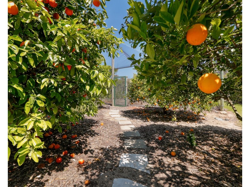 34 Kiln Road, Nowergup WA 6032