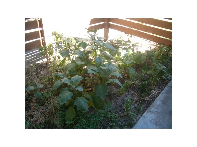 3/155 Eighth Avenue, Inglewood WA 6052