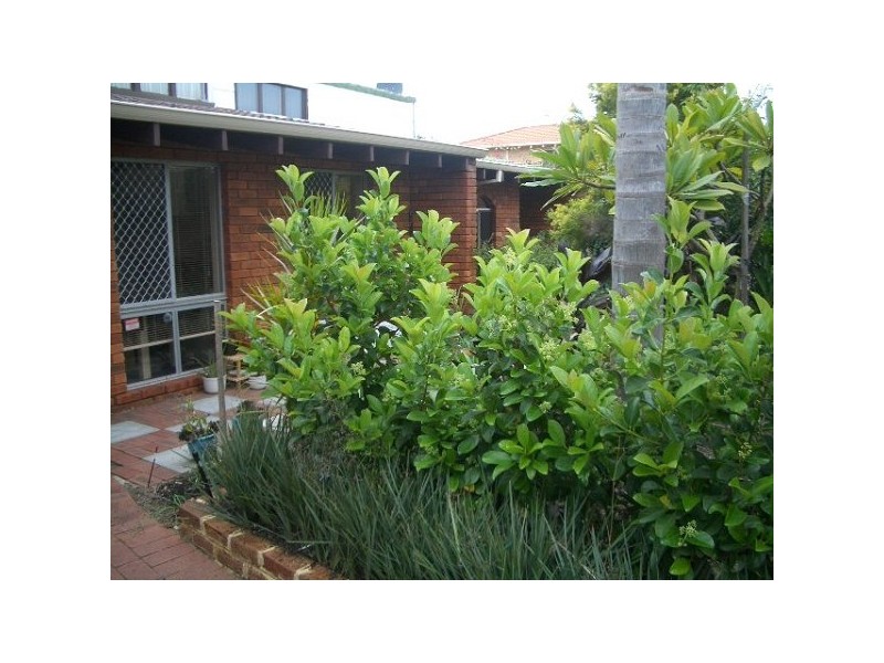 7/21 Tyler Street, Joondanna WA 6060