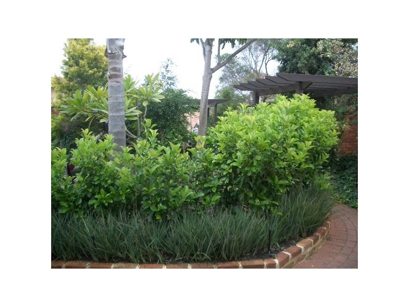 7/21 Tyler Street, Joondanna WA 6060