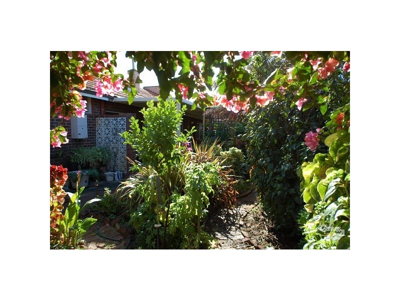 6 Fitzroy Street, Dianella WA 6059