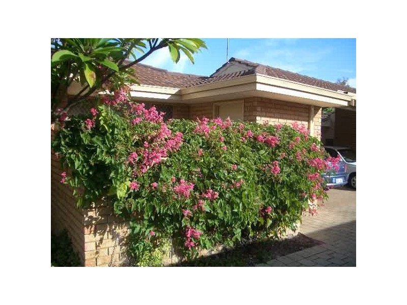 6/65 Wandarrie Avenue, Yokine WA 6060