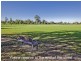 37 Chaucer Street, Yokine WA 6060