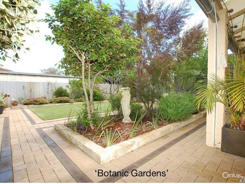 31 Cygnet Street, Dianella WA 6059