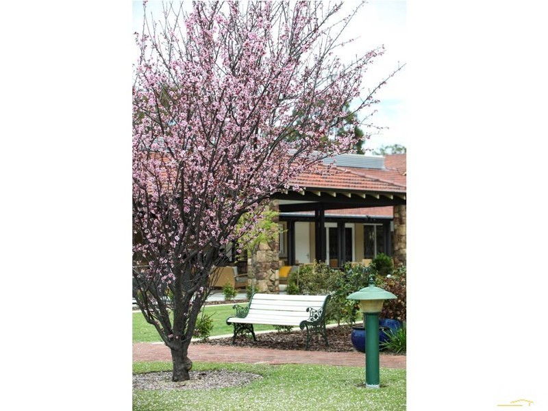 2 Plantation Street, Mount Lawley WA 6050