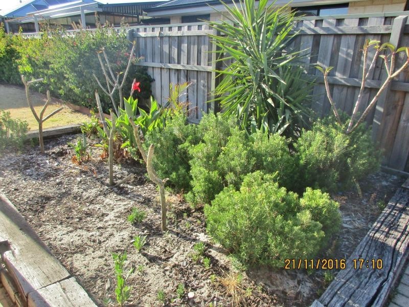 53 Monavale Loop, Ellenbrook WA 6069