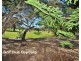 33 Hayes Avenue, Yokine WA 6060
