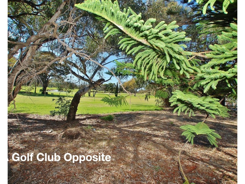 33 Hayes Avenue, Yokine WA 6060