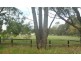 Lot 7 Darwin Street, Cookernup WA 6220