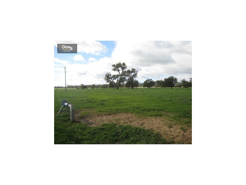 112,113 Thompson Road, Harvey WA 6220