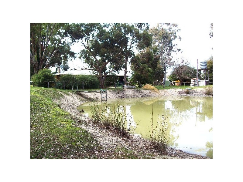 Lot 287 Shannon Road, Collie WA 6225