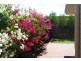 12 Neah Place, Butler WA 6036