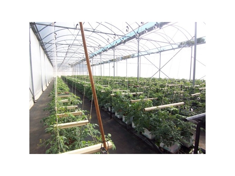 10 Yalgorup Drive, Bouvard WA 6210