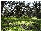 2580 Old Coast Road, Herron WA 6210