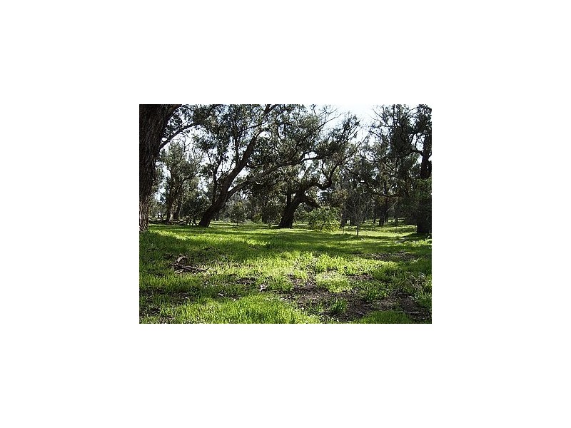 2580 Old Coast Road, Herron WA 6210