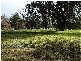 2580 Old Coast Road, Herron WA 6210