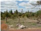 Lot 104 Southern Estuary Road, Lake Clifton WA 6215