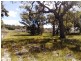 122 Stacey Rise, Lake Clifton WA 6215