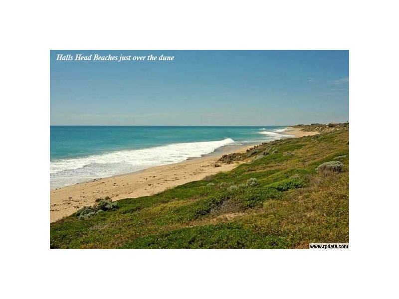 6 Buttercup Parkway, Halls Head WA 6210