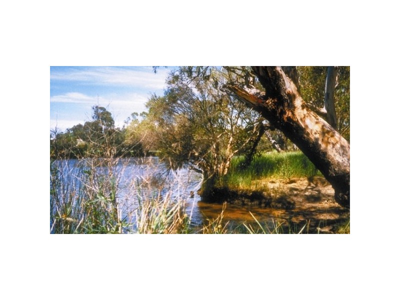 Lot 3 Southern Estuary Road, Lake Clifton WA 6215