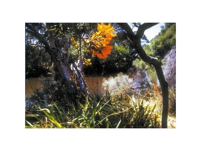 Lot 3 Southern Estuary Road, Lake Clifton WA 6215