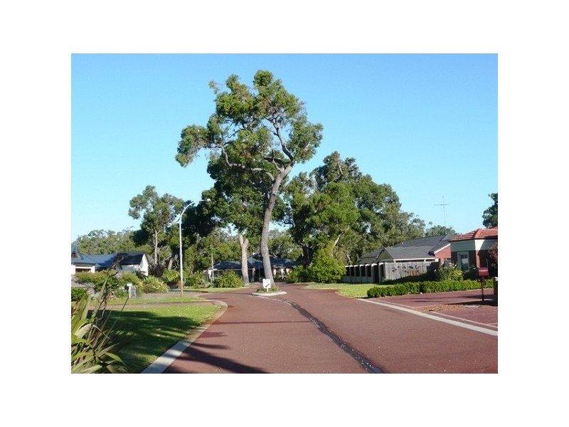 11 Maggie Way, Coodanup WA 6210