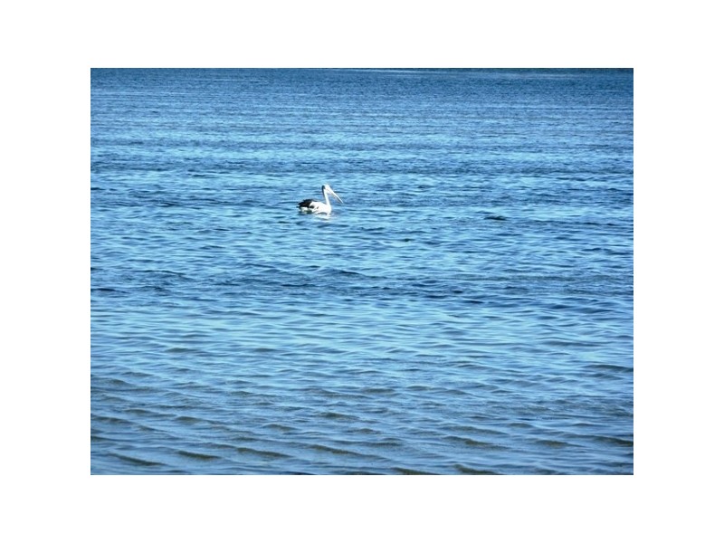 11 Maggie Way, Coodanup WA 6210