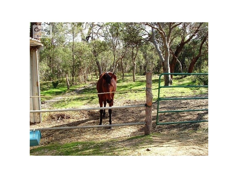 145 Armstrong Hills Drive, Lake Clifton WA 6215