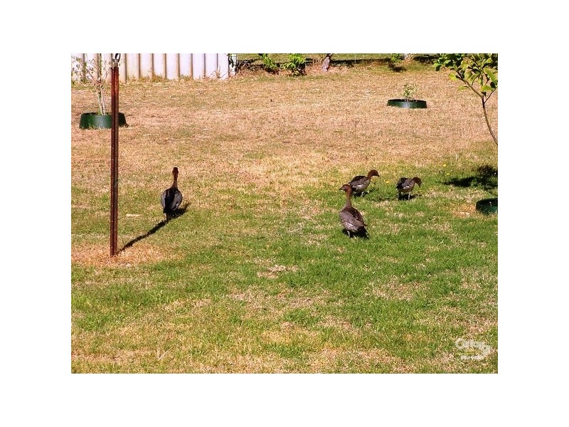 10 Hotspur Way, Greenfields WA 6210