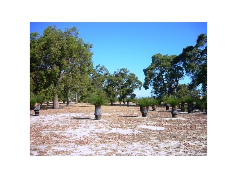 Lot 2 Peppermint Drive, Falcon WA 6210