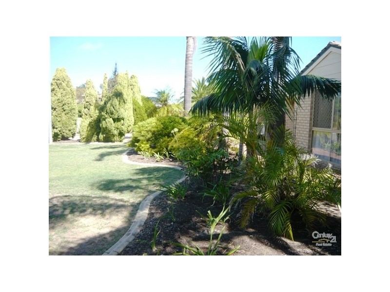 3 Kingfisher Drive, Halls Head WA 6210