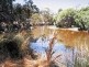 Lot 241a & b Southern Estuary Road, Lake Clifton WA 6215