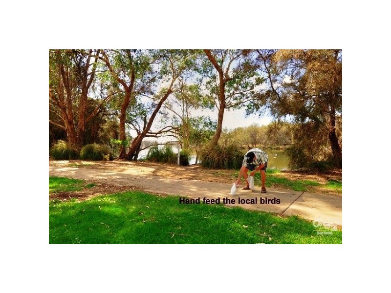 11 Redcliffe Road, Riverside Gardens, Greenfields WA 6210