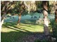 12 Prestwick Green, Meadow Springs WA 6210