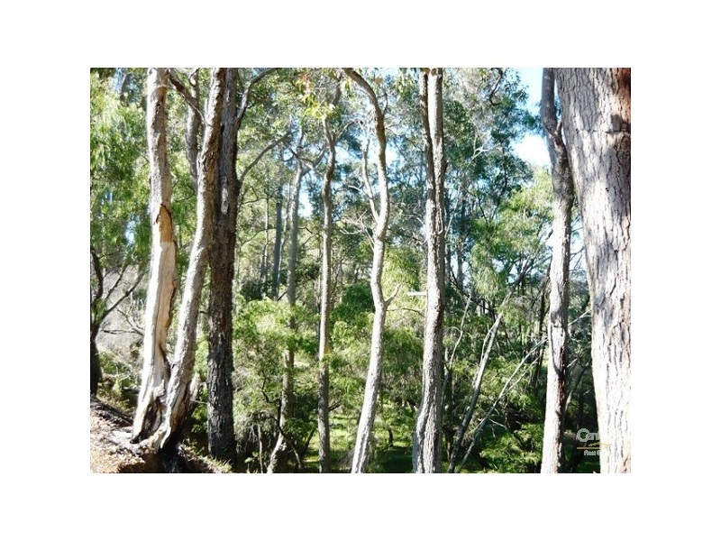 10 Digger Place, Boyanup WA 6237