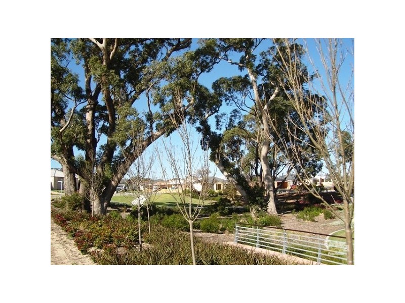 4 Kannemer Link, Meadow Springs WA 6210