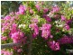 84 Victoria Circle, Greenfields WA 6210