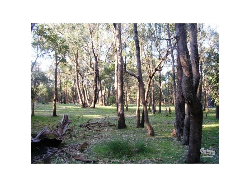 175 (Lot 113) Tuart Grove Ave, Lake Clifton WA 6215