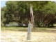 1/2A Trerose ERSKINE, Mandurah WA 6210