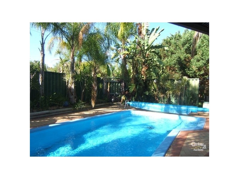 17 Palomino Place, Greenfields WA 6210