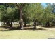 23 Littleton Street, Falcon WA 6210